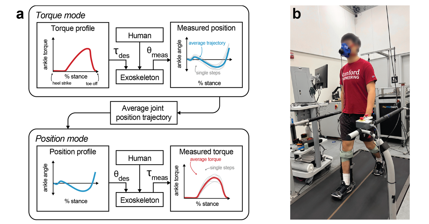 Torque vs Position Exo