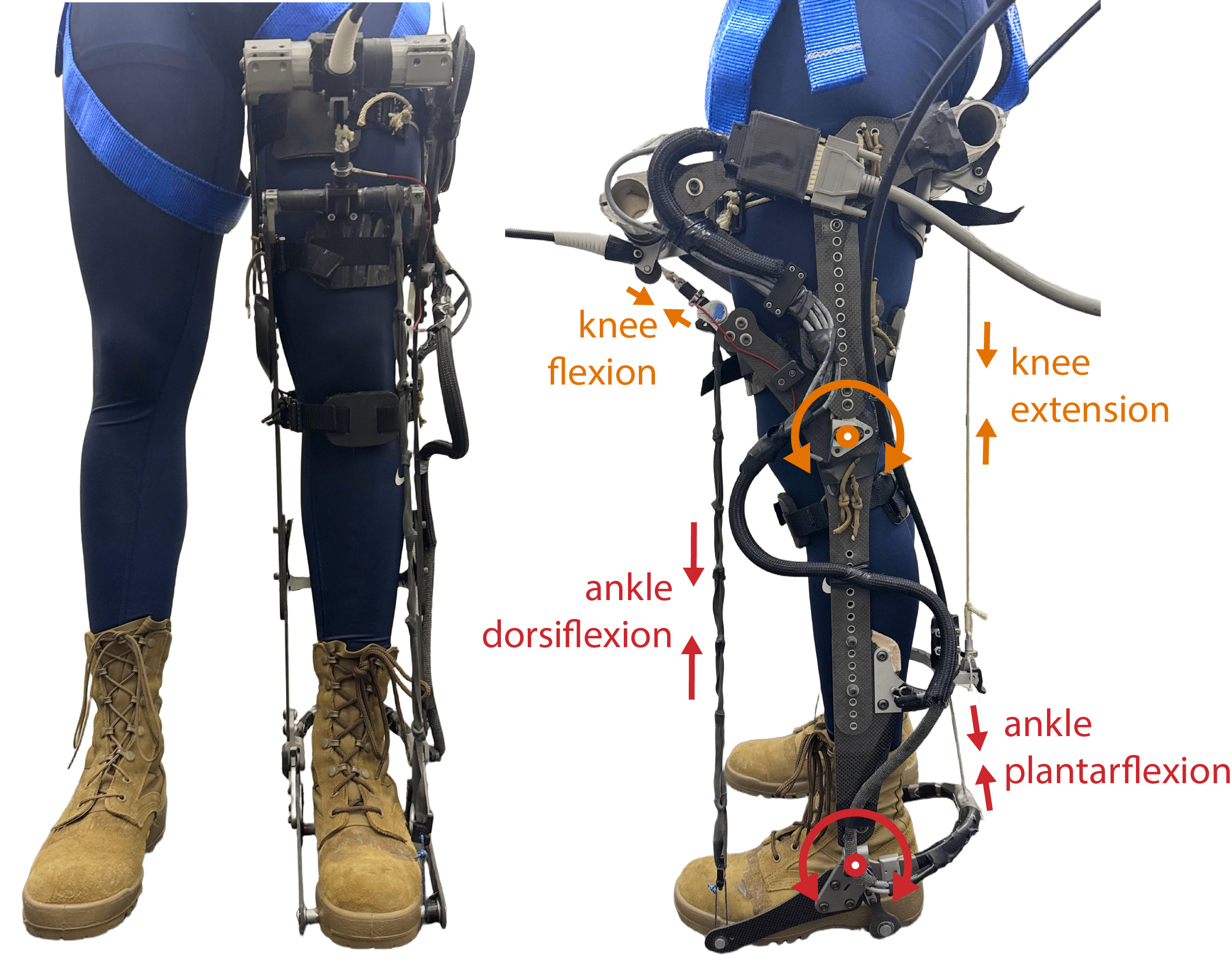 Torque vs Position Exo